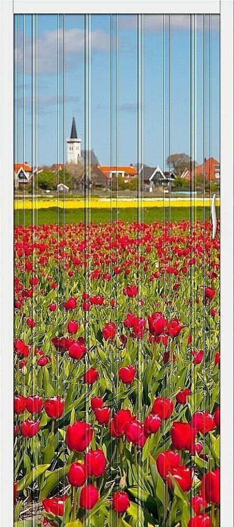 Складная межкомнатная дверь глухая Браво-008 Т - 2 (BRAVO)