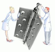 дверные петли